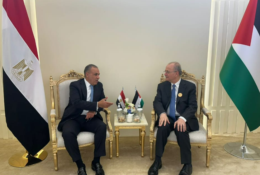 محمد مصطفى يلتقي وزير الخارجية المصري